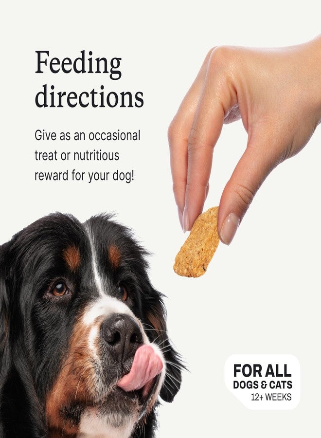PetLab Co. Salmon Bites for Dogs – Rich in Beneficial Fatty Acids, Vitamins & Minerals - Premium Salmon Dog Treats Your Pup Will Drool Over - Carefully Selected Ingredients – Delicious Reward - Image 5
